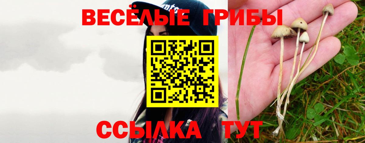 Ковров  Псилоцибиновые грибы Magic Shrooms  Вход с VPN 